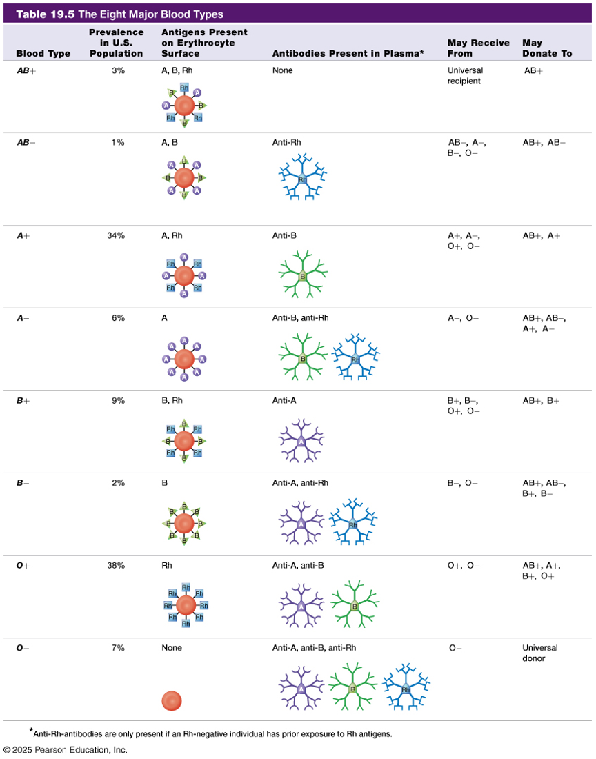 table of the 8 major blood types