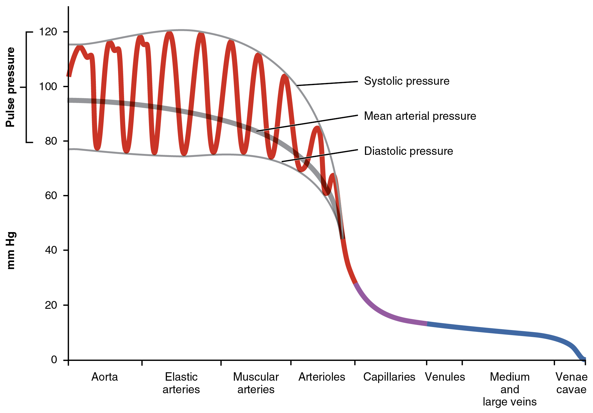 blood pressure figure