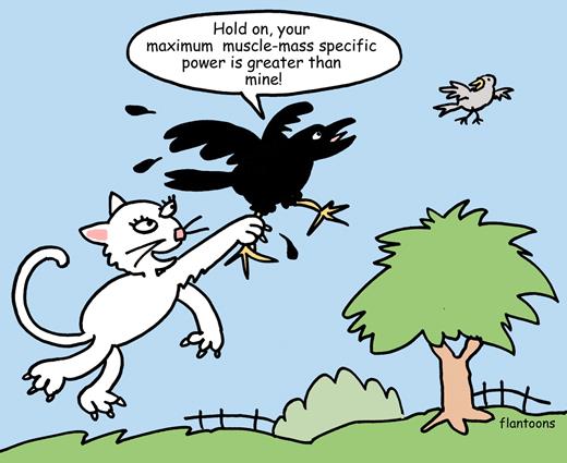 Inside JEB - Crow escape flight